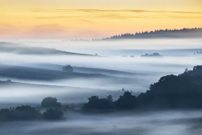 Framed Print : Mist at Rockford Common at sunrise, New Forest National Park, Hampshire, England, UK