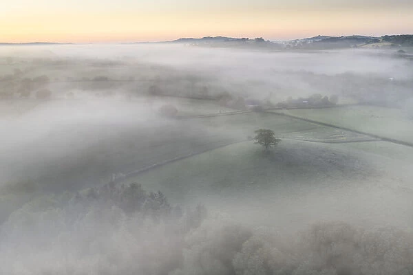 Mist shrouded countryside at dawn, Devon, England. Summer (June) 2021