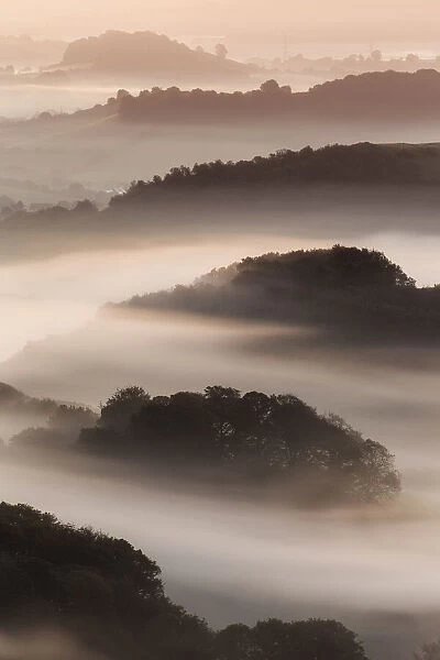 Mist shrouded hills in the Marshwood Vale, Bridport, Dorset, England