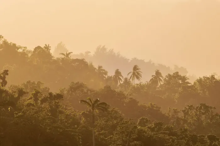 Framed Print : Mist shrouded hillside in Port Antonio, Jamaica Framed Print : Mist shrouded hillside in Port Antonio, Jamaica