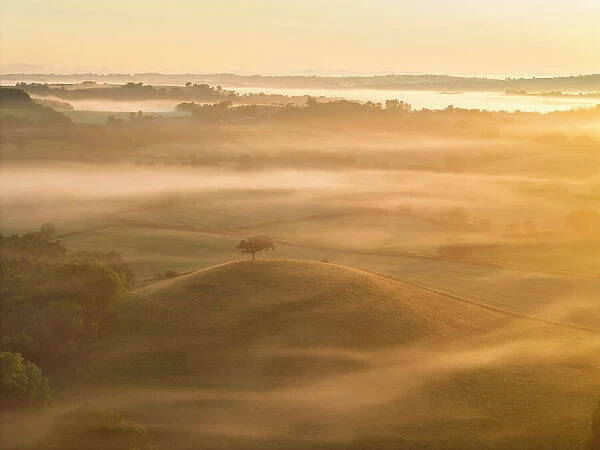 Mist shrouded rolling countryside at dawn, Crediton, Devon, England. Summer (June) 2023