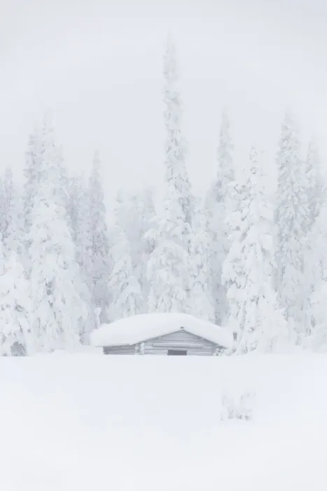 Framed Print : Mist on snow covered hut, Levi, Kittila, Lapland, Finland Framed Print : Mist on snow covered hut, Levi, Kittila, Lapland, Finland