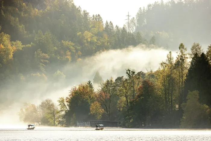 Framed Print : Mist spilling through autumnal woodland, Lake Bled, Bled, Slovenia Framed Print : Mist spilling through autumnal woodland, Lake Bled, Bled, Slovenia