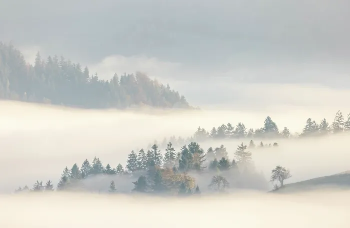 Framed Print : Mist and trees in autumn, Skofja Loka, Slovenia Framed Print : Mist and trees in autumn, Skofja Loka, Slovenia