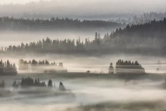 Framed Print : Misty dawn over the Pieniny Mountains, Poland Framed Print : Misty dawn over the Pieniny Mountains, Poland