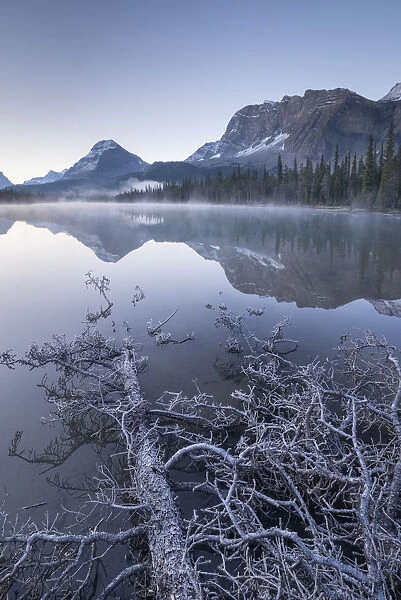 Misty and frosty morning at Bow Lake in Banff National Park, Alberta, Canada