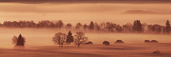 Misty mood in moor - Germany, Bavaria, Upper Bavaria, Bad Tolz-Wolfratshausen, Kochel, Gro√uweil - Alps, Lake Kochel