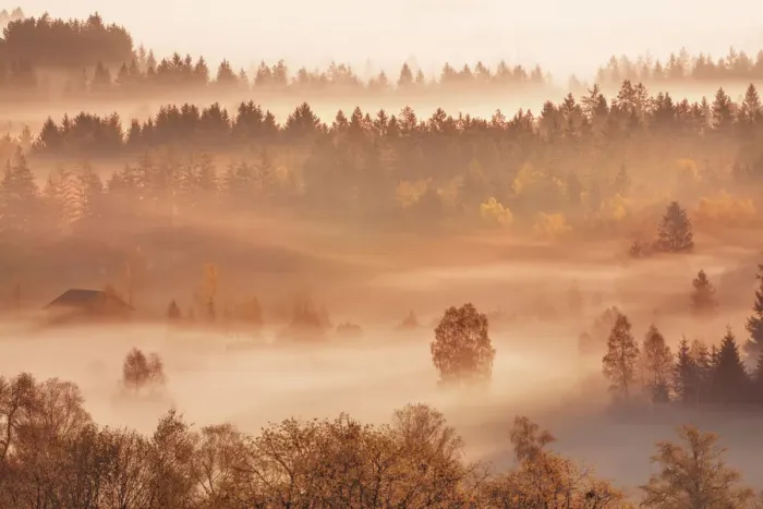 Framed Print : Misty mood in moor - Germany, Bavaria, Upper Bavaria, Bad Tolz-Wolfratshausen, Kochel, Gro√uweil - Alps, Lake Kochel Framed Print : Misty mood in moor - Germany, Bavaria, Upper Bavaria, Bad Tolz-Wolfratshausen, Kochel, Gro√uweil - Alps, Lake Kochel