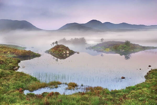 Misty mood in Rannoch Moor - United Kingdom, Scotland, Argyll and Bute