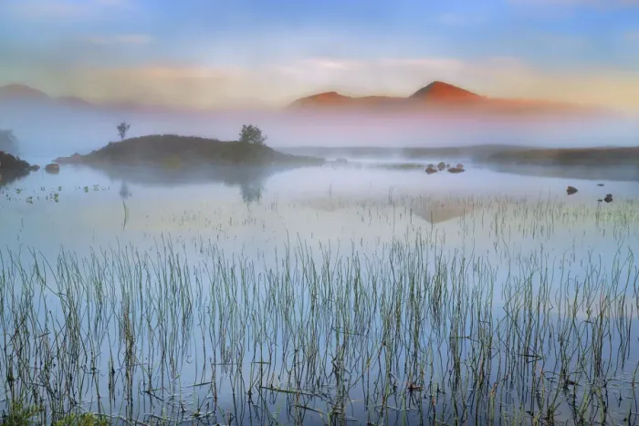 Framed Print : Misty mood in Rannoch Moor - United Kingdom, Scotland, Argyll and Bute Framed Print : Misty mood in Rannoch Moor - United Kingdom, Scotland, Argyll and Bute