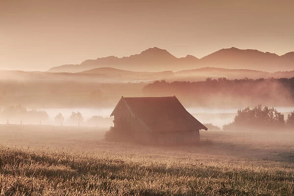 Misty mood at Riegsee - Germany, Bavaria, Upper Bavaria, Garmisch-Partenkirchen, Murnau