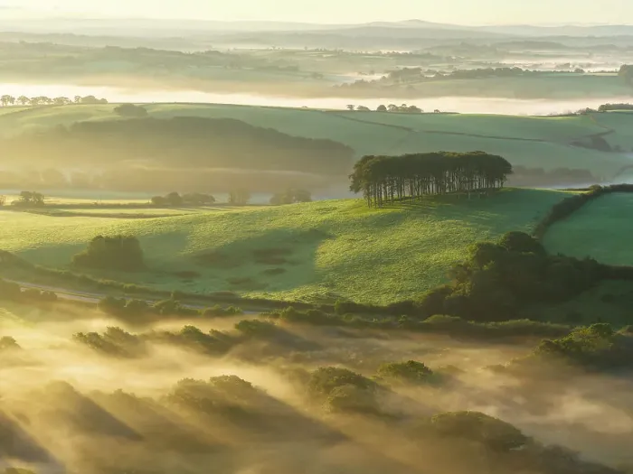 Framed Print : Misty morning at Cookworthy Knapp (the Nearly Home Trees) near Lifton in Devon, England. Autumn (September) 2023 Framed Print : Misty morning at Cookworthy Knapp (the Nearly Home Trees) near Lifton in Devon, England. Autumn (September) 2023