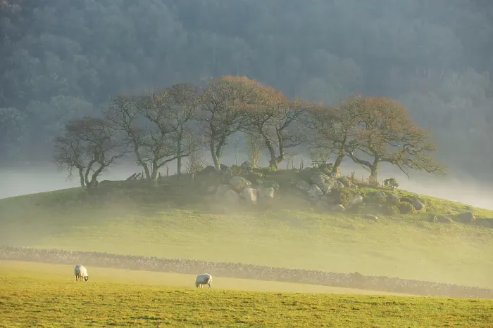 Framed Print : Misty morning over Hartland Hill Rocks in Dartmoor National Park, Devon, England. Winter (January) 2025 Framed Print : Misty morning over Hartland Hill Rocks in Dartmoor National Park, Devon, England. Winter (January) 2025
