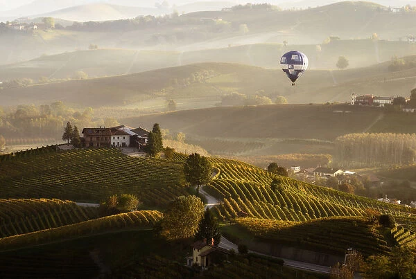 Misty morning in Langhe with an hot baloon, Piedmont, Italy