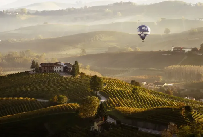 Framed Print : Misty morning in Langhe with an hot baloon, Piedmont, Italy Framed Print : Misty morning in Langhe with an hot baloon, Piedmont, Italy