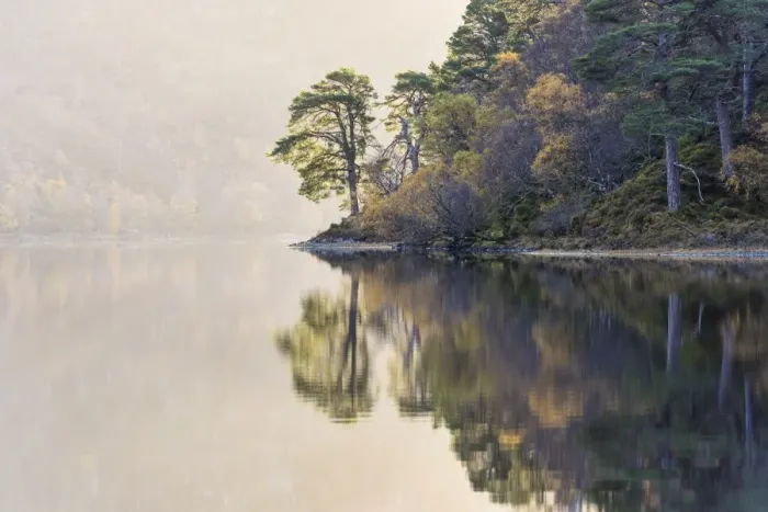 Framed Print : Misty morning at Loch Clair, Wester Ross, Highlands, Scotland Framed Print : Misty morning at Loch Clair, Wester Ross, Highlands, Scotland