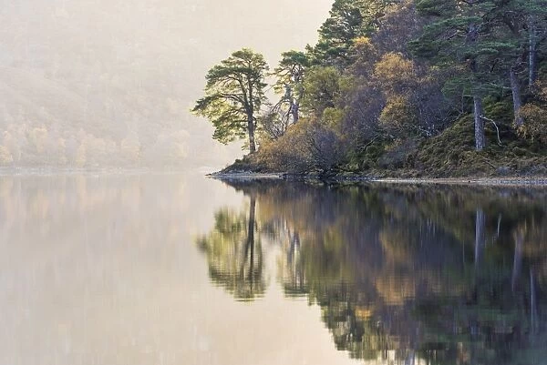 Misty morning at Loch Clair, Wester Ross, Highlands, Scotland