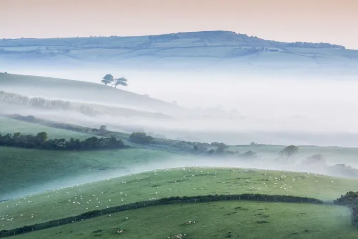 Framed Print : Misty morning over the marsh wood Vale, Dorset, England Framed Print : Misty morning over the marsh wood Vale, Dorset, England