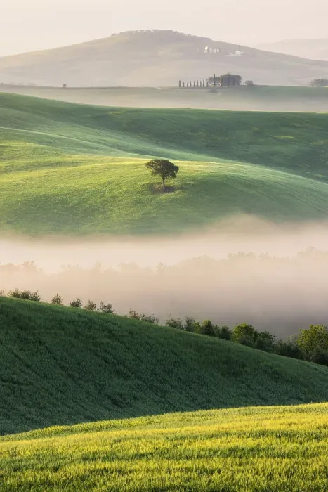Framed Print : Misty morning in the Val D'orcia, Tuscany, Italy Framed Print : Misty morning in the Val D'orcia, Tuscany, Italy