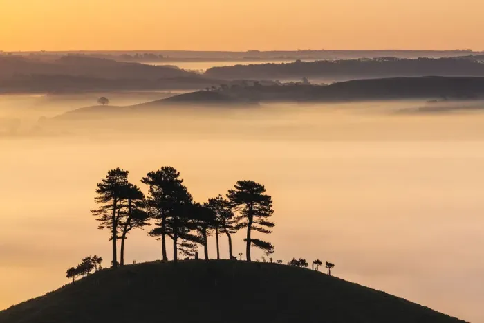 Framed Print : Misty morning view of Colmers Hill, Dorset, England, UK Framed Print : Misty morning view of Colmers Hill, Dorset, England, UK