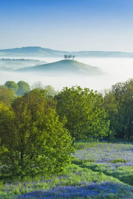 Framed Print : Misty morning view of Colmers Hill, Dorset, England, UK Framed Print : Misty morning view of Colmers Hill, Dorset, England, UK