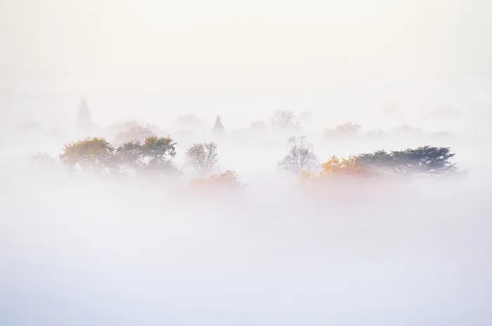 Framed Print : Misty morning views from Richmond Hill towards River Thames and the trees, Richmond, London, England Framed Print : Misty morning views from Richmond Hill towards River Thames and the trees, Richmond, London, England