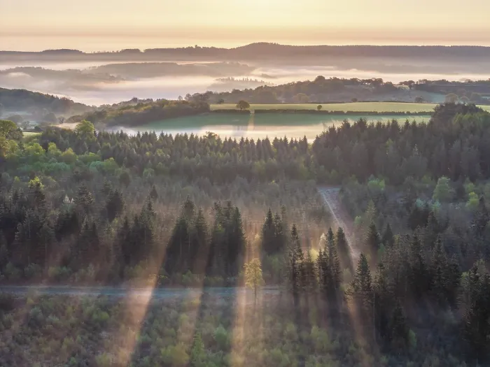 Framed Print : Misty sunrise above woodland and countryside in Dartmoor National Park, Devon, England. Spring (April) 2025 Framed Print : Misty sunrise above woodland and countryside in Dartmoor National Park, Devon, England. Spring (April) 2025
