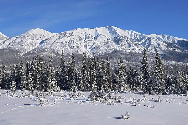 The MItchell Range (Canadian Rocky Mountains), Kootenay National Park, British Columbia, Canada