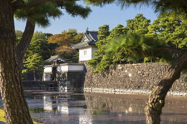 Moat and walls of Imperial Palace, Tokyo, Japan