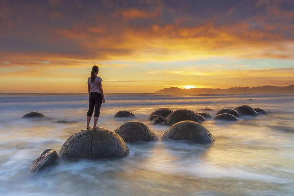 Moeraki Boulders rock formations by the sea at sunrise, Otago, New Zealand