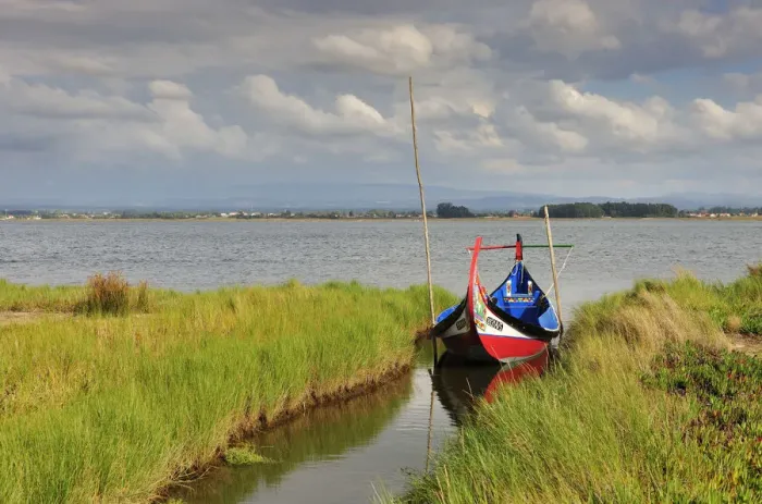 Framed Print : Moliceiro, a traditional boat in the Aveiro river. Portugal Framed Print : Moliceiro, a traditional boat in the Aveiro river. Portugal