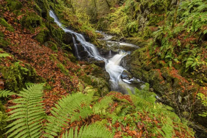 Framed Print : Moness Burn in Autumn, Birks of Aberfeldy, Perthshire Region, Scotland