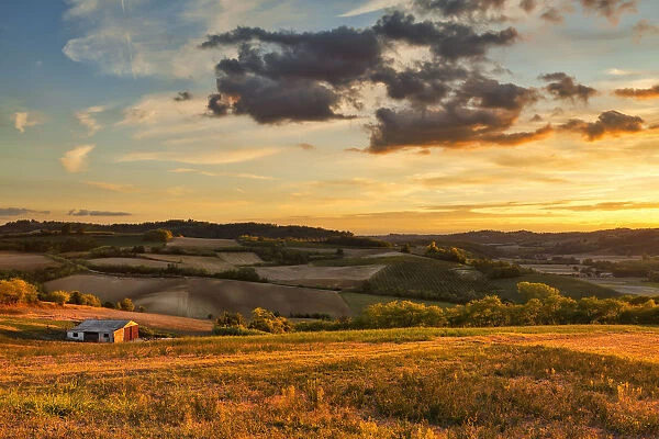 Monferrato hills, Alessandria province, Piedmont, Italy, Europe