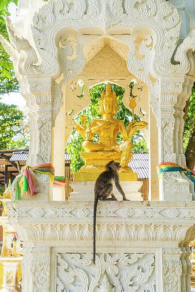 A monkey on a small shrine on Ao Nang Beach, Ao Nang, Krabi, Thailand