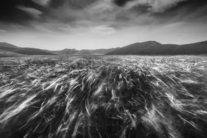 Framed Print : A monochromatic capture taken during a windy afternoon in Castelluccio di Norcia, Umbria, Italy, when the crop was almost ready to be harvested Framed Print : A monochromatic capture taken during a windy afternoon in Castelluccio di Norcia, Umbria, Italy, when the crop was almost ready to be harvested