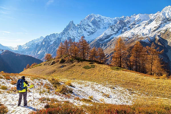 Mont Blanc Massif from the path to the Bertone Refuge in autumn. Ferret Valley, Courmayeur, Aosta district, Aosta Valley, Italy