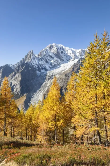 Framed Print : Mont Blanc Massif from the path to the Bertone Refuge during the Mont Blanc hiking tours Framed Print : Mont Blanc Massif from the path to the Bertone Refuge during the Mont Blanc hiking tours
