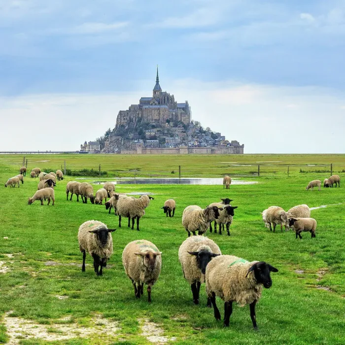 Framed Print : Mont Saint Michel, Bay of Mont Saint Michel, Manche, Normandy, France Framed Print : Mont Saint Michel, Bay of Mont Saint Michel, Manche, Normandy, France