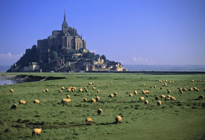 Framed Print : Mont St Michel Framed Print : Mont St Michel