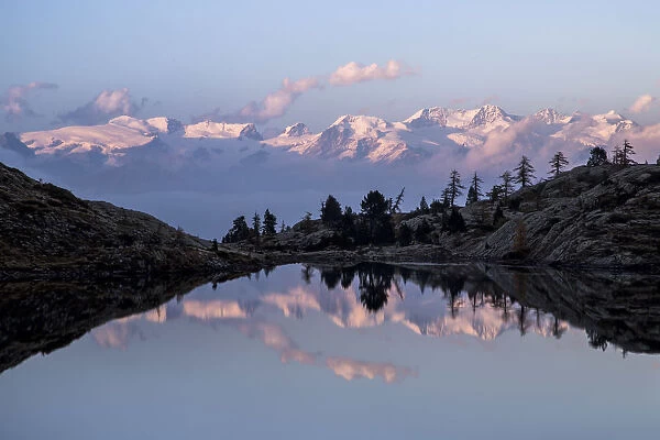 The Monte Rosa group reflecting in the still water of Lake Bianco in the pink