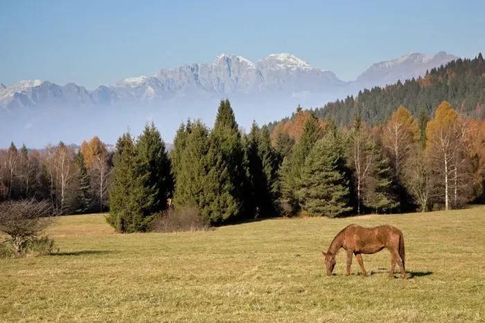 Framed Print : Montegal Alm, Limana, Prealps of Belluno, Veneto, Italy Framed Print : Montegal Alm, Limana, Prealps of Belluno, Veneto, Italy