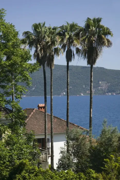 Framed Print : Montenegro, Adriatic coast, Bay of Kotorska, Herceg Novi Framed Print : Montenegro, Adriatic coast, Bay of Kotorska, Herceg Novi