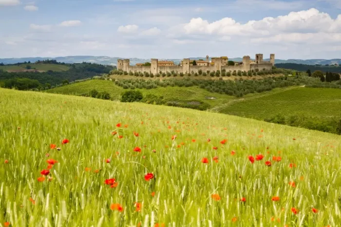 Framed Print : Monteriggioni Framed Print : Monteriggioni