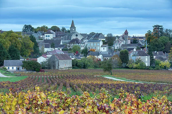 Monthelie, Cote-d'Or, Burgundy, Bourgogne-Franche-Comte, France