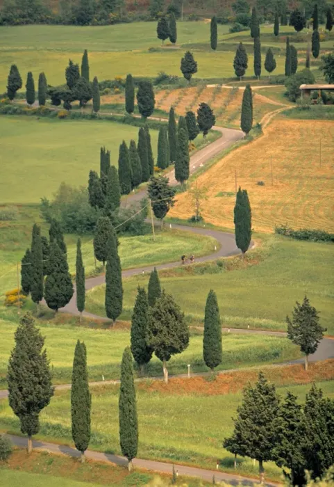 Framed Print : Monticchiello