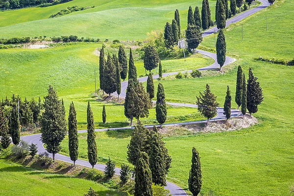 Monticchiello, Tuscany, Italy. Scenic road