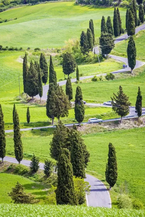 Framed Print : Monticchiello, Tuscany, Italy. Scenic road Framed Print : Monticchiello, Tuscany, Italy. Scenic road