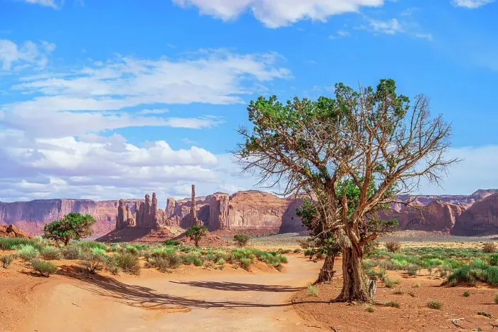 Framed Print : Monument Valley, view at Yei Bi Chei and Totem Pole rock columns, Arizona / Utah, USA