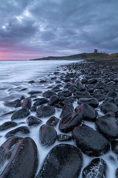 Moody dawn sky over Dunstanburgh Castle from the boulder strewn shore of Embleton Bay, Northumberland, England. Spring (March) 2023