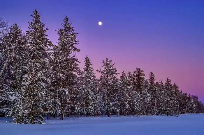 Framed Print : Full moon rising over the boreal forest in winter, Belair Provincial Forest, Manitoba, Canada Framed Print : Full moon rising over the boreal forest in winter, Belair Provincial Forest, Manitoba, Canada